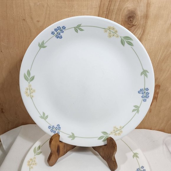 Corelle Secret Garden Dinner Plates 10.25" set of 2 Corning Ware - Picture 2 of 10